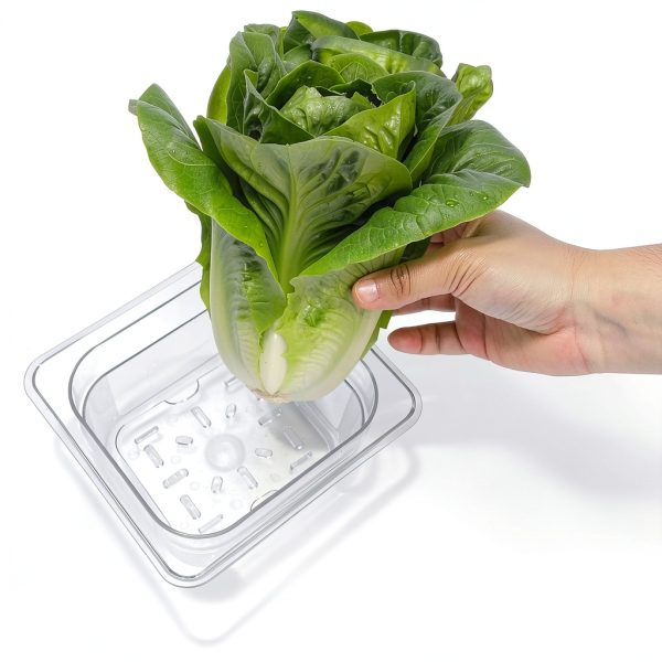 TOPZEA 24 Pack Plastic Drain Shelf for 1/6 Size Food Pan, Clear Plastic Food Grate, Drain Grid Trays Draining Rack with Feet for Food, Fruit, Vegetable Drainage, Salad Prep Station, Kitchen-2